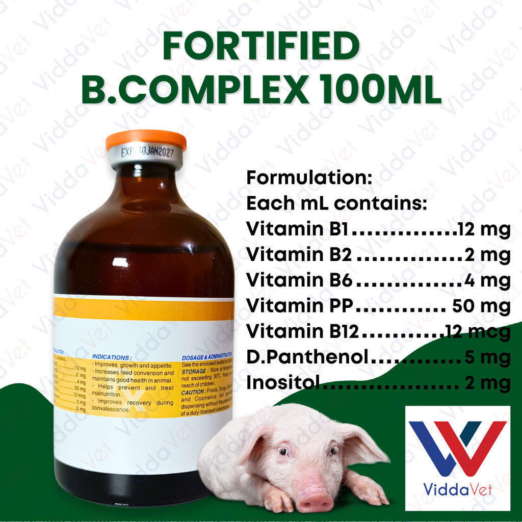 Fortified B Complex 100ml