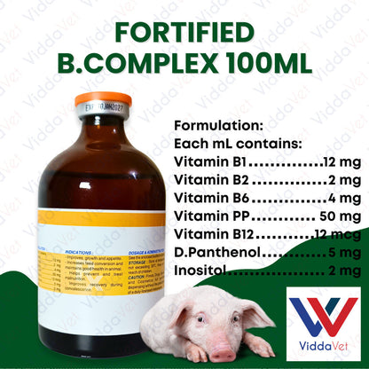 Fortified B Complex 100ml