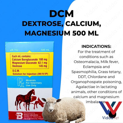 DCM Solution for Injection 500 ml