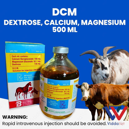 DCM Solution for Injection 500 ml