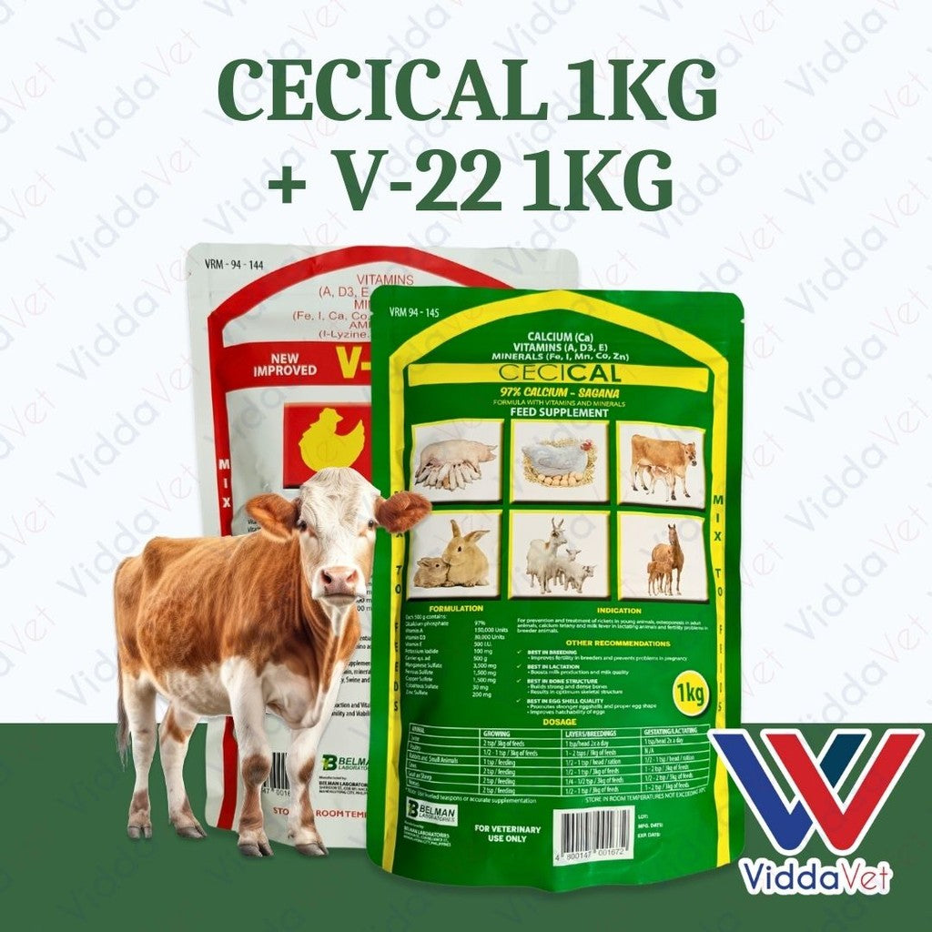 Cecical powder + V22 powder 1kg