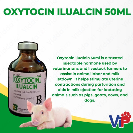 Oxytocin Ilualcin 50ml