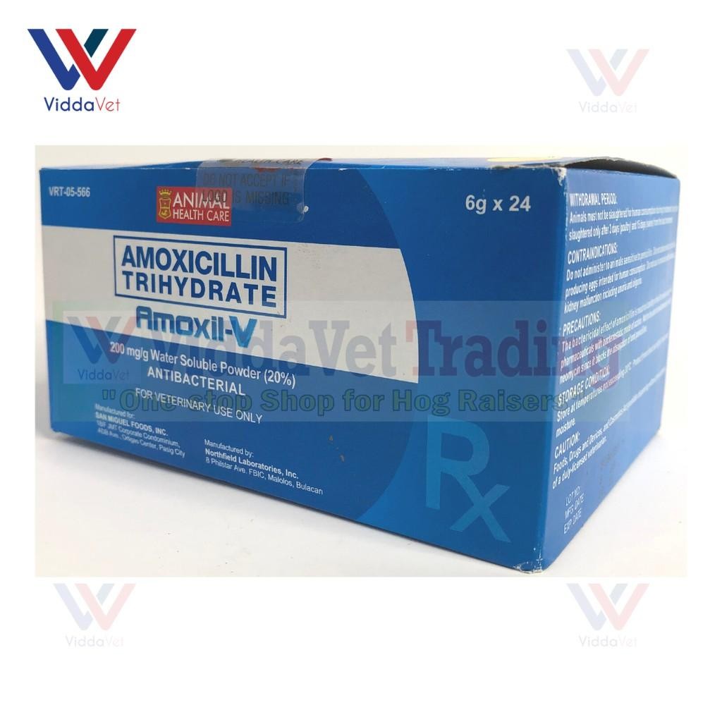 Amoxil-V 6Grams