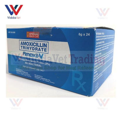 Amoxil-V 6Grams