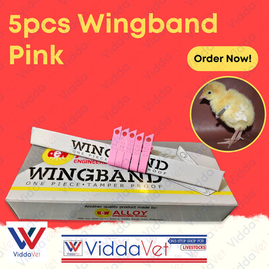 Wing Bands Pink 5pcs