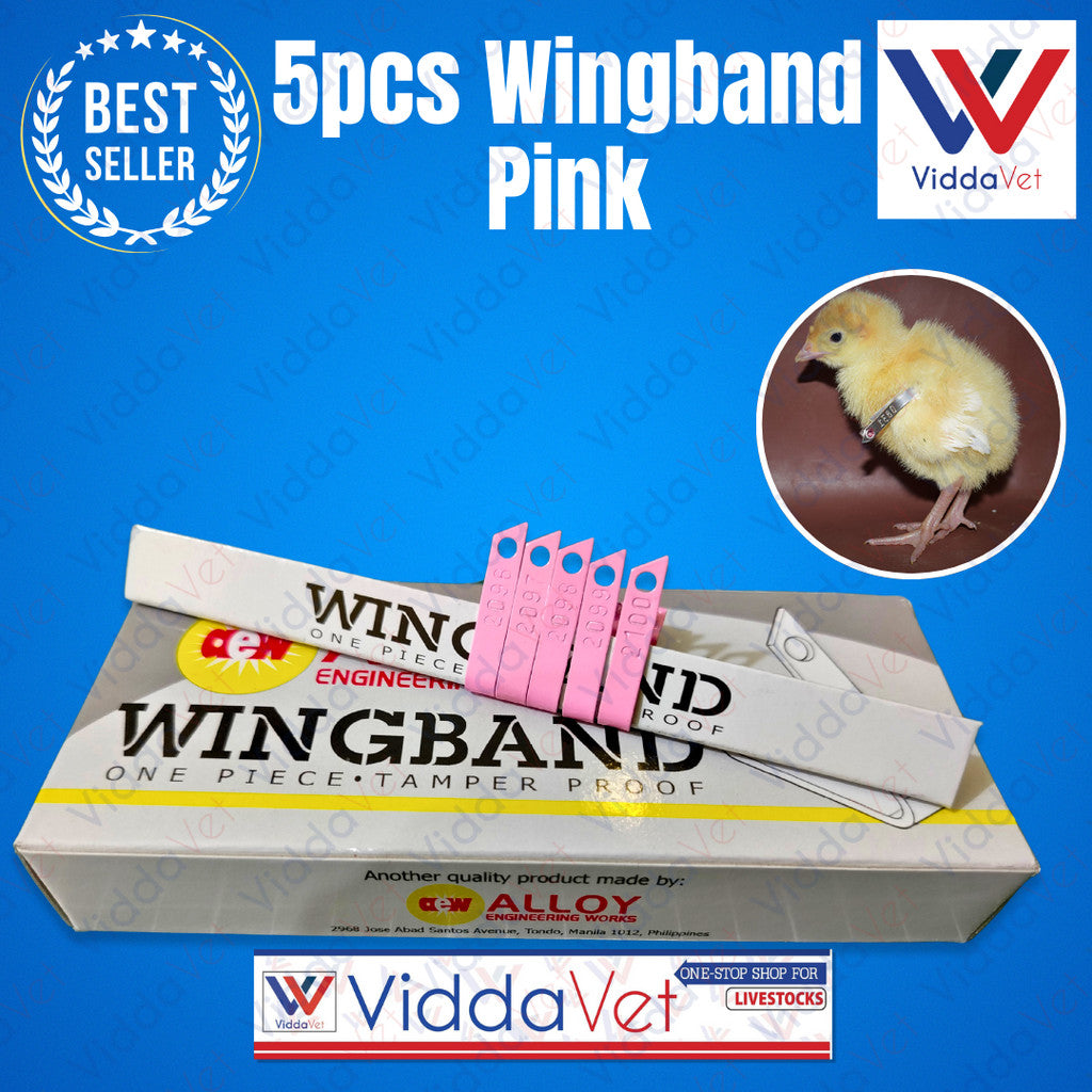 Wing Bands Pink 5pcs