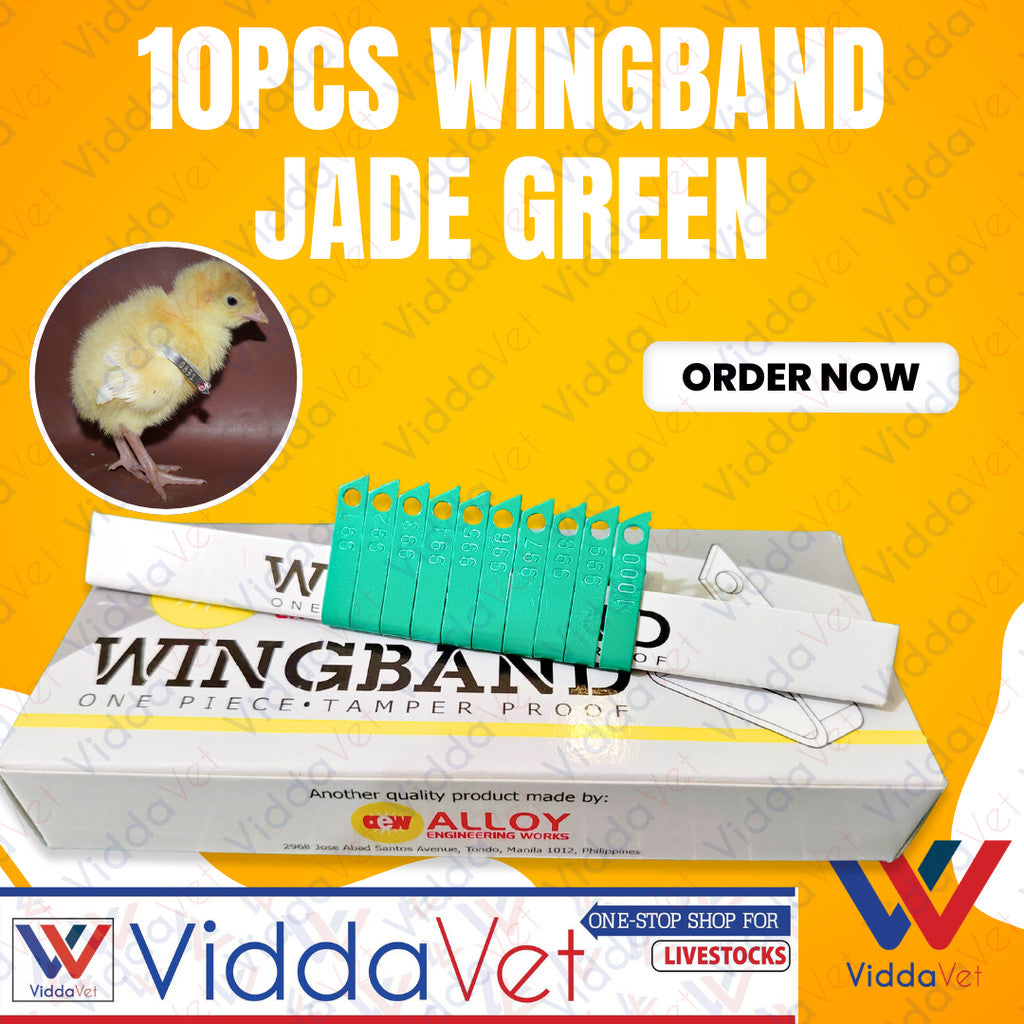 Wing Bands Green 10pcs