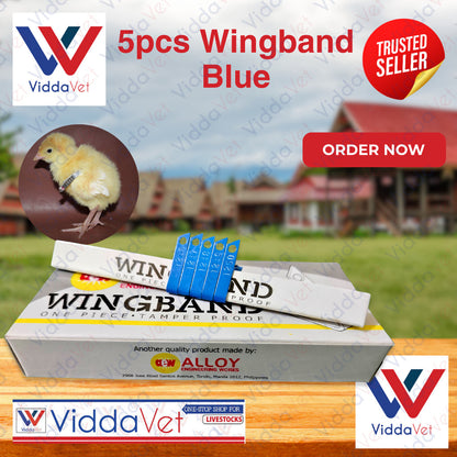 Blue Wingband 5pc