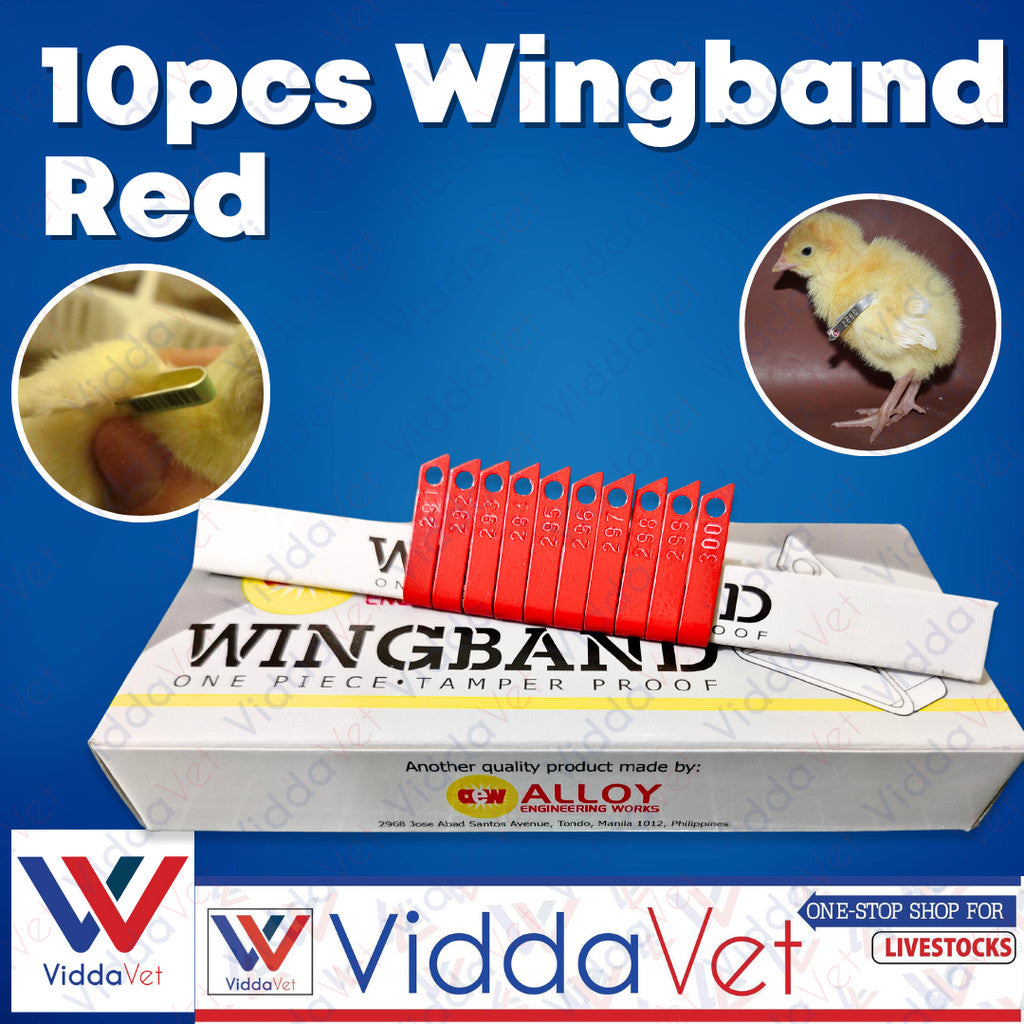 Wing Bands Red 10pcs