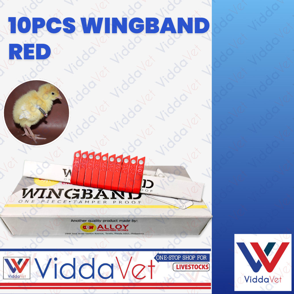 Wing Bands Red 10pcs