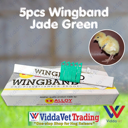 Wing Bands Green 5pcs