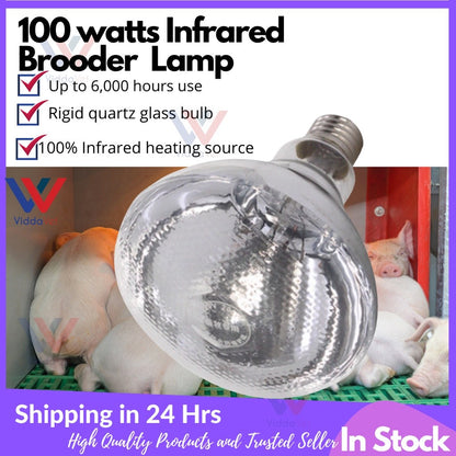 Golden Big Hood and Wiring Heat Lamp 150w and 100w