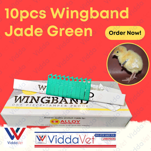 Wing Bands Green 10pcs