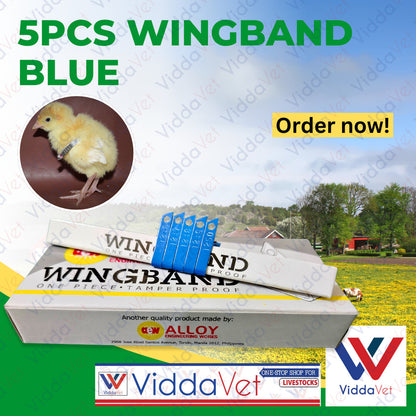 Blue Wingband 5pc