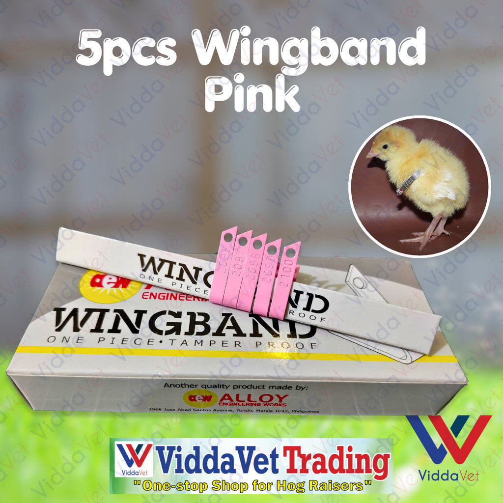 Wing Bands Pink 5pcs