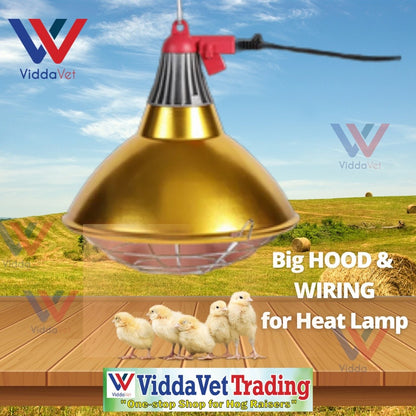 Golden Big Hood and Wiring Heat Lamp 150w and 100w