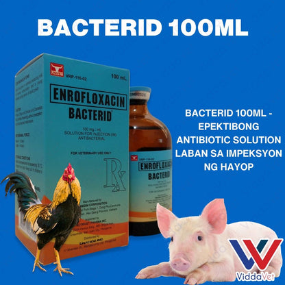 Bacterid 100ml