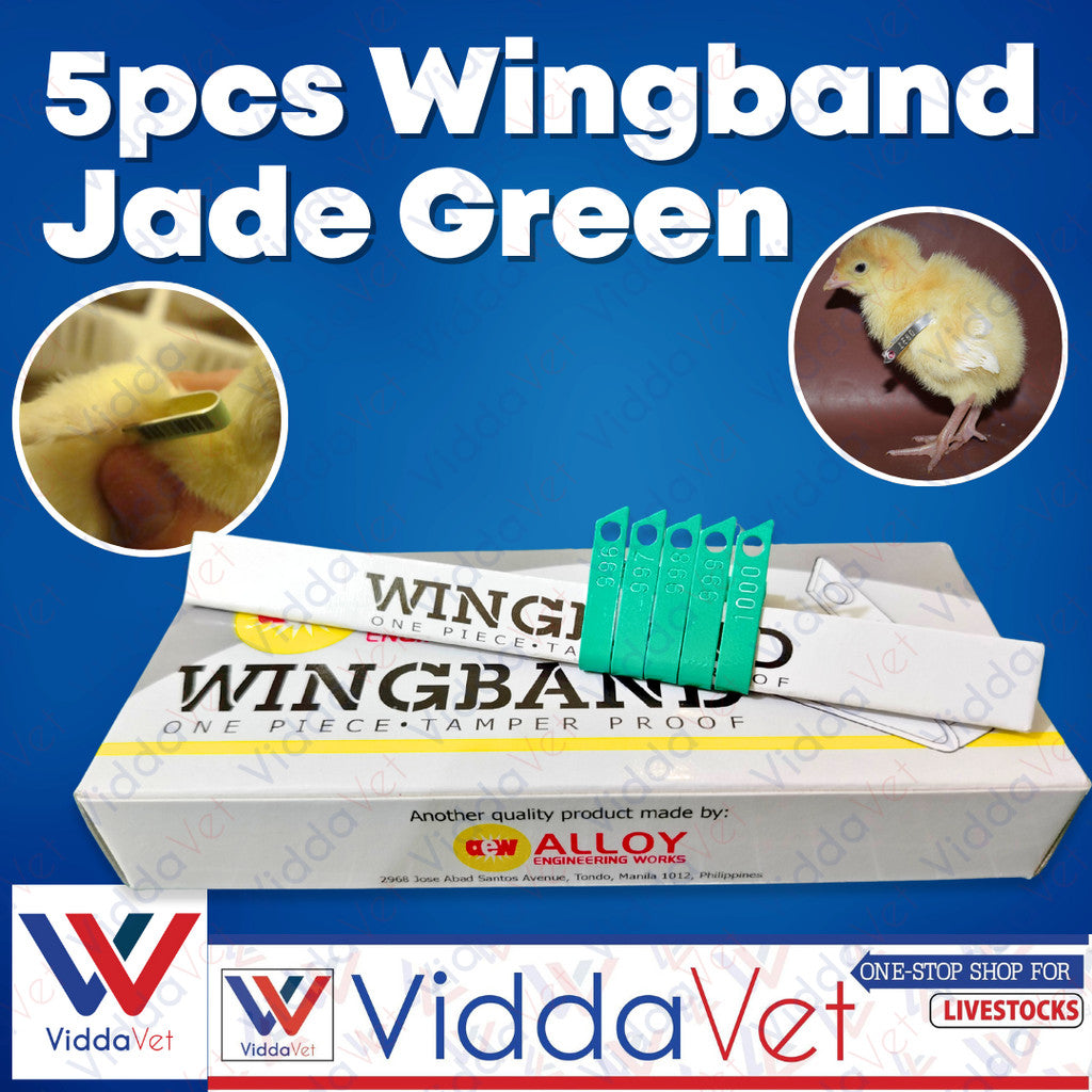 Wing Bands Green 5pcs