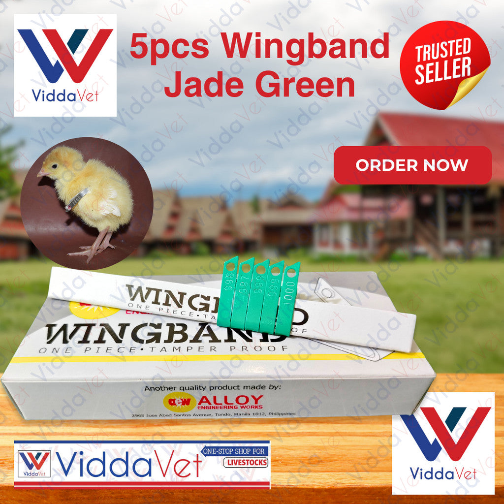 Wing Bands Green 5pcs