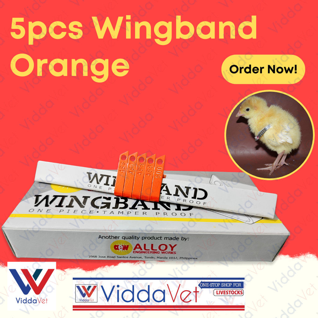 Wing Bands Orange 5pcs