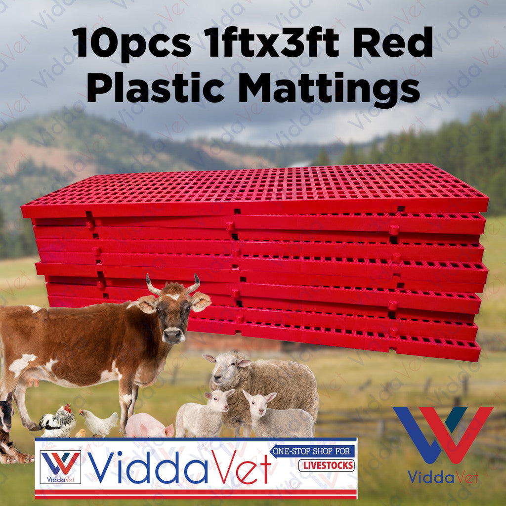 Plastic Mattings Red 1x3 10pcs