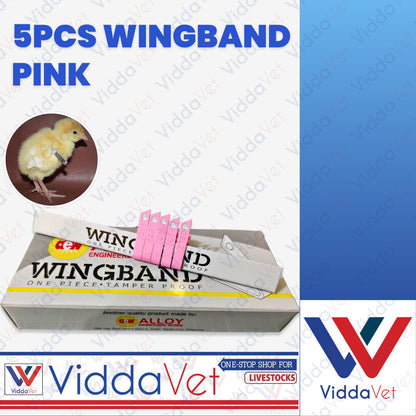 Wing Bands Pink 5pcs