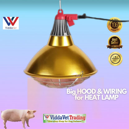Golden Big Hood and Wiring Heat Lamp 150w and 100w