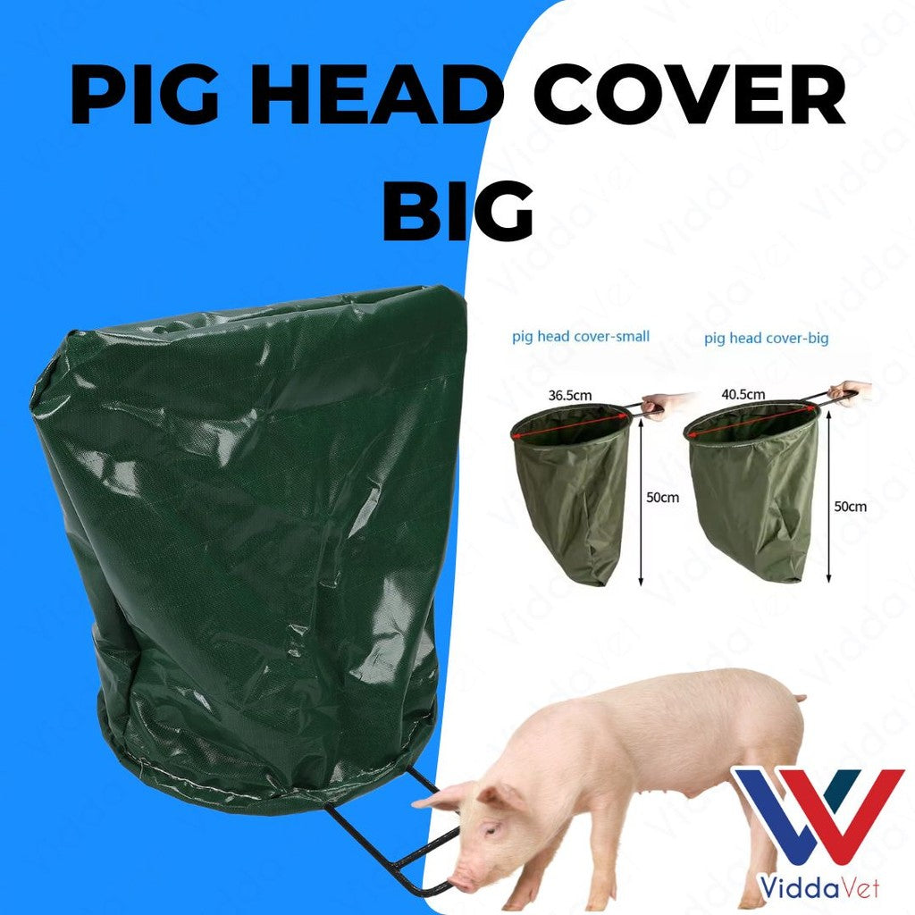 Pig Head Cover Big