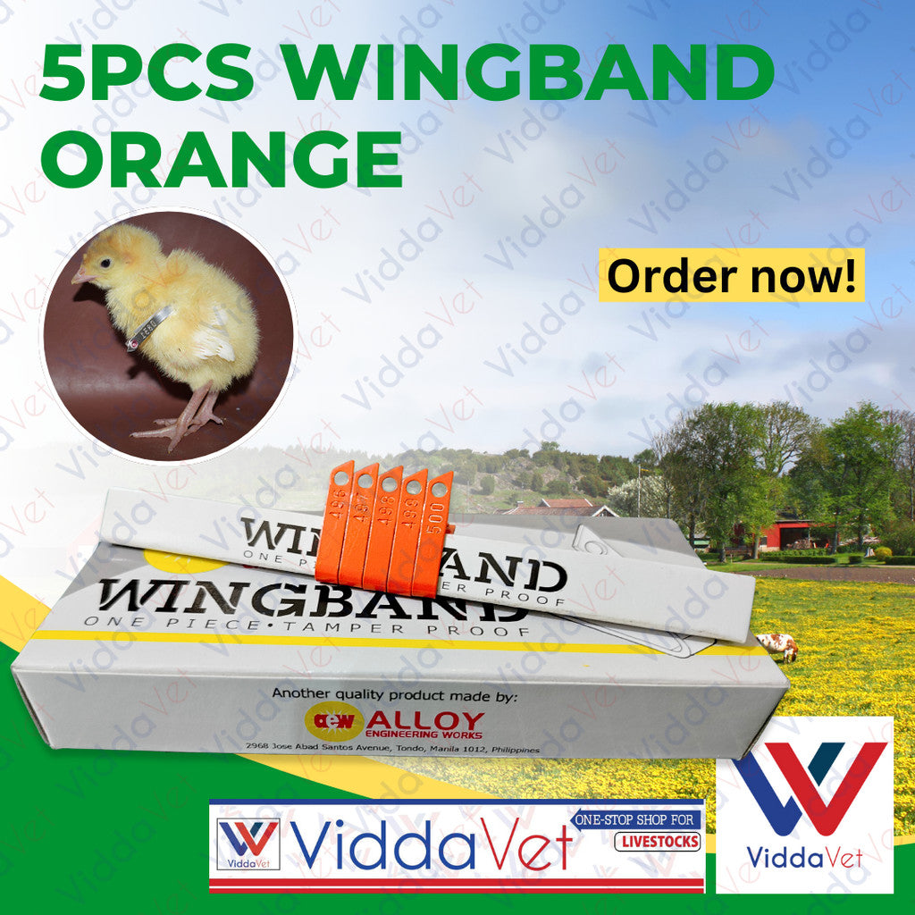 Wing Bands Orange 5pcs