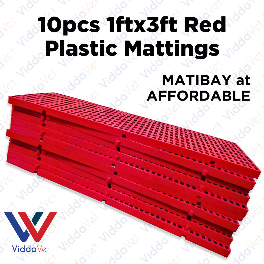 Plastic Mattings Red 1x3 10pcs
