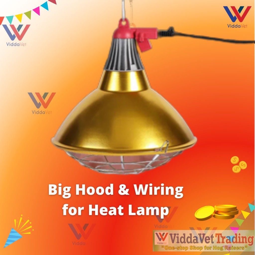 Golden Big Hood and Wiring Heat Lamp 150w and 100w