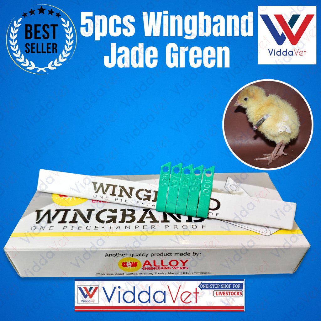 Wing Bands Green 5pcs