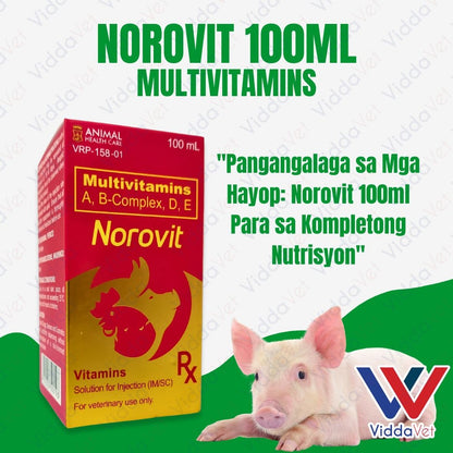 Norovit 100ml
