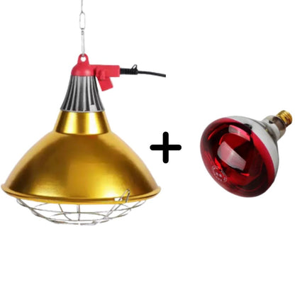 Golden Big Hood and Wiring Heat Lamp 150w and 100w