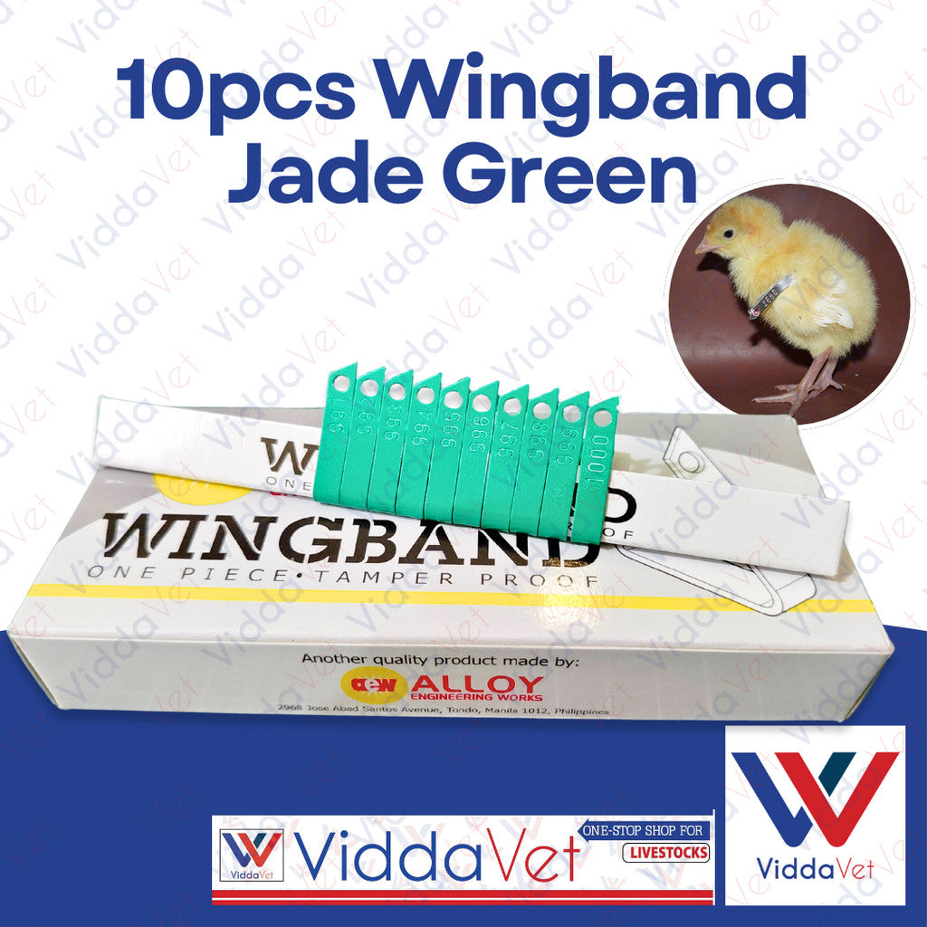 Wing Bands Green 10pcs