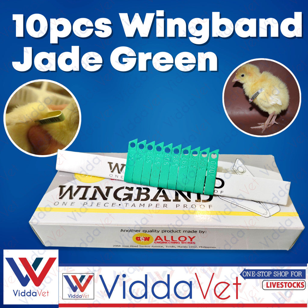 Wing Bands Green 10pcs