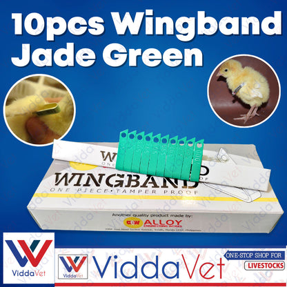 Wing Bands Green 10pcs