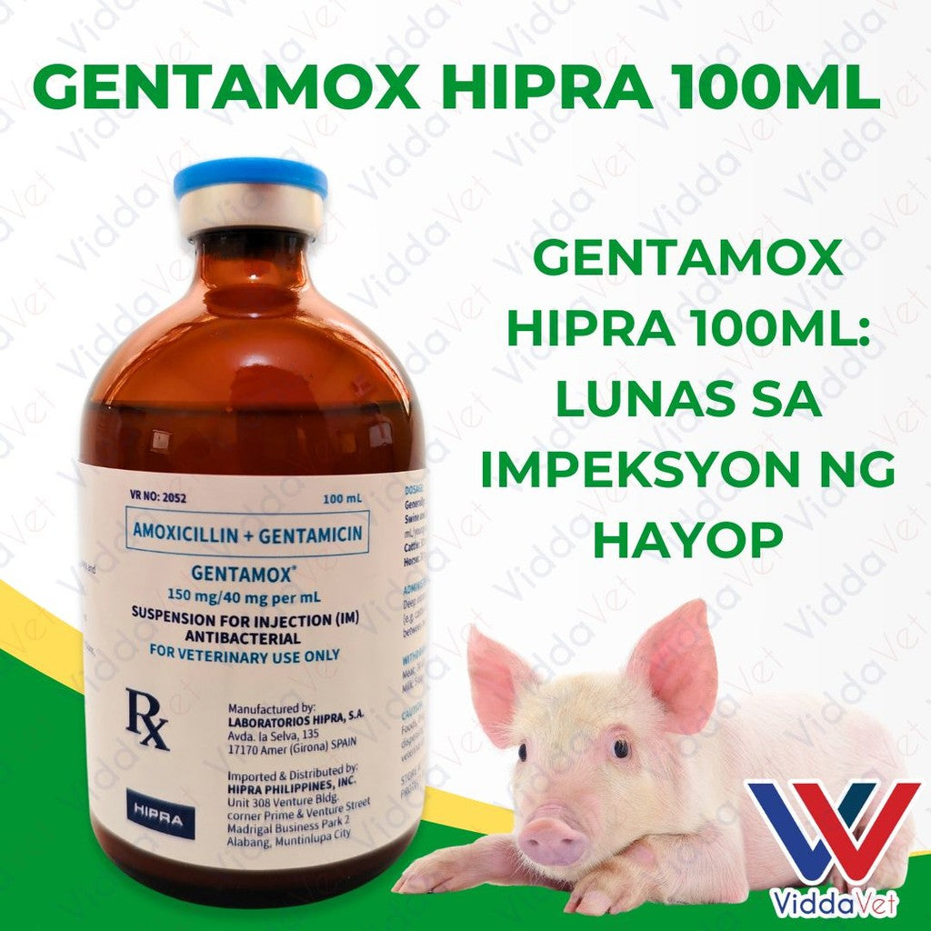 Gentamox Hipra 100ml