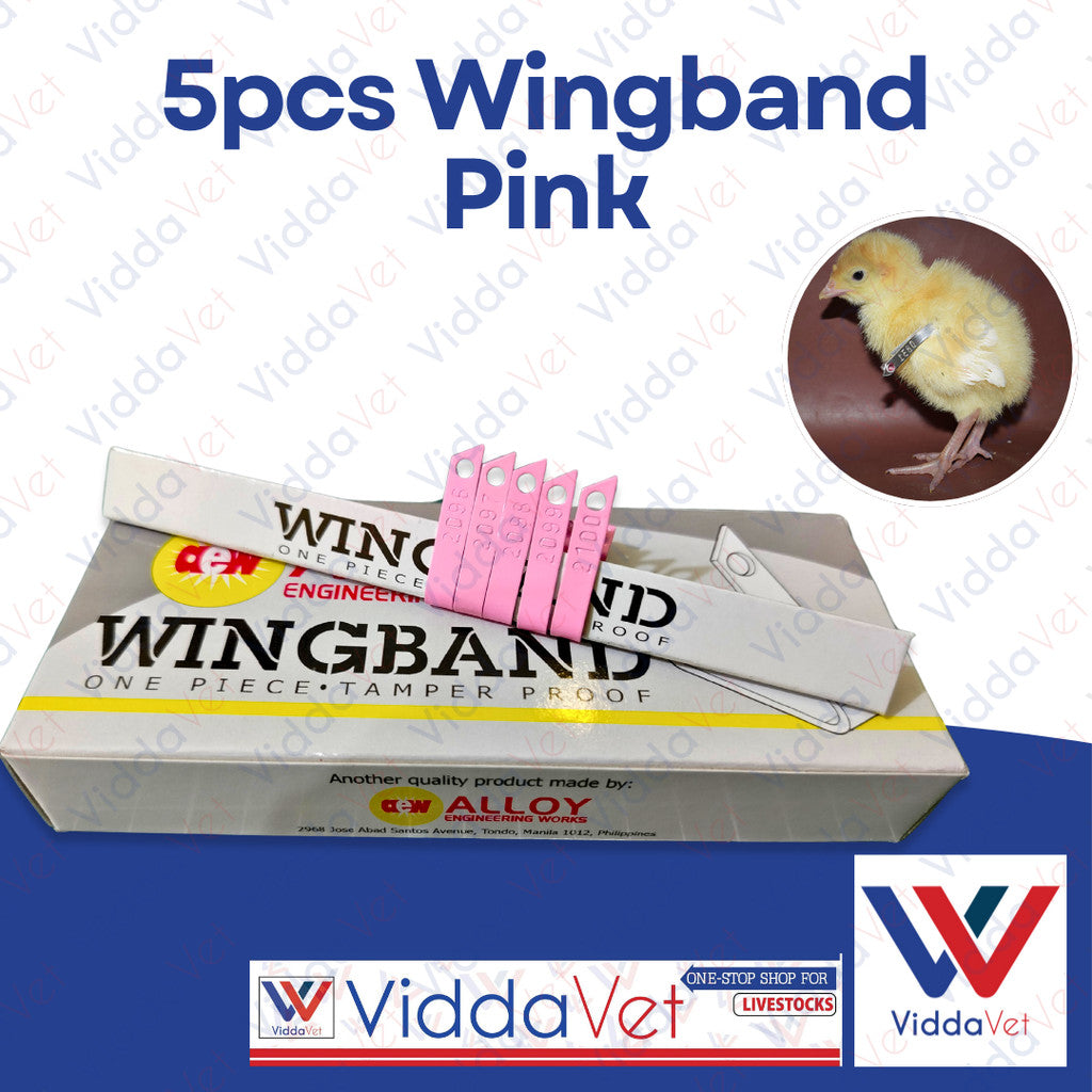 Wing Bands Pink 5pcs