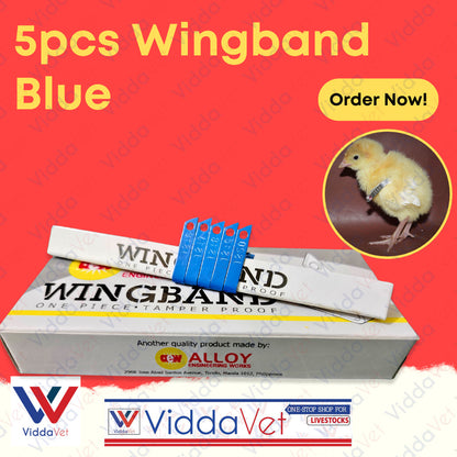 Blue Wingband 5pc