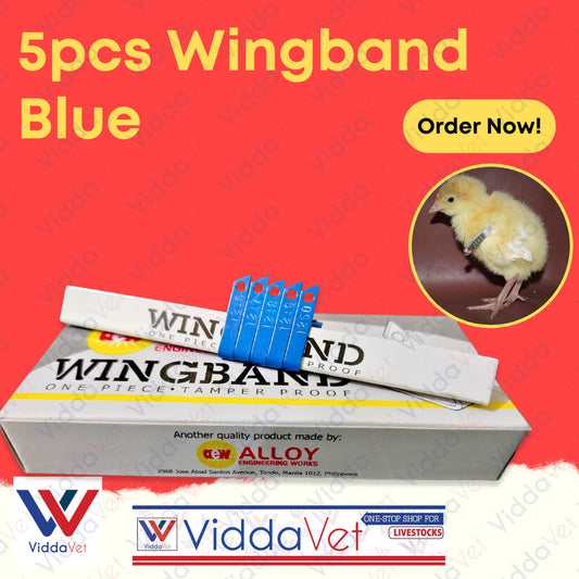 Blue Wingband 5pc