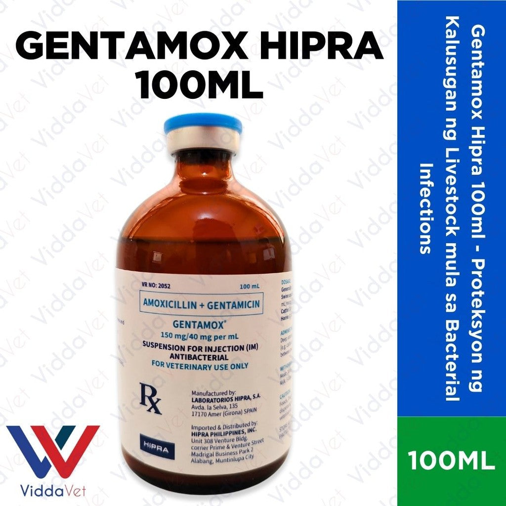 Gentamox Hipra 100ml