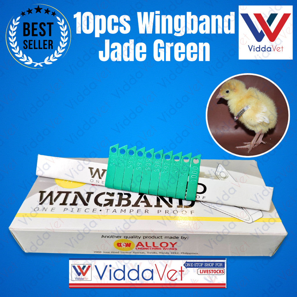 Wing Bands Green 10pcs