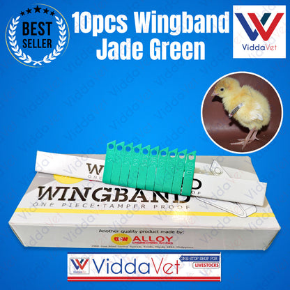 Wing Bands Green 10pcs