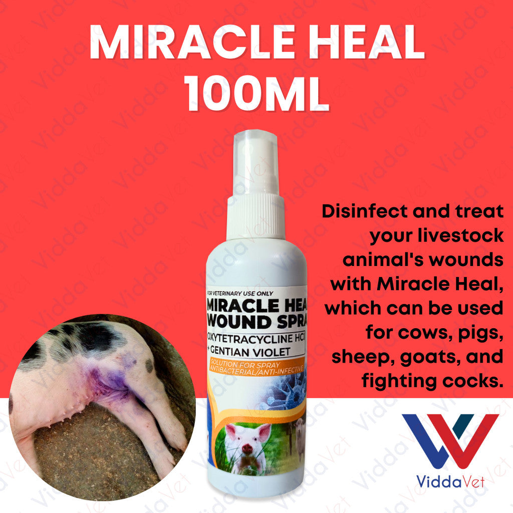Miracle Heal Wound Spray 100ml