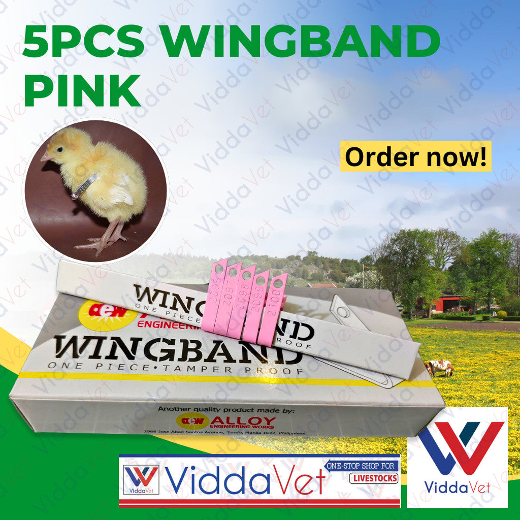 Wing Bands Pink 5pcs