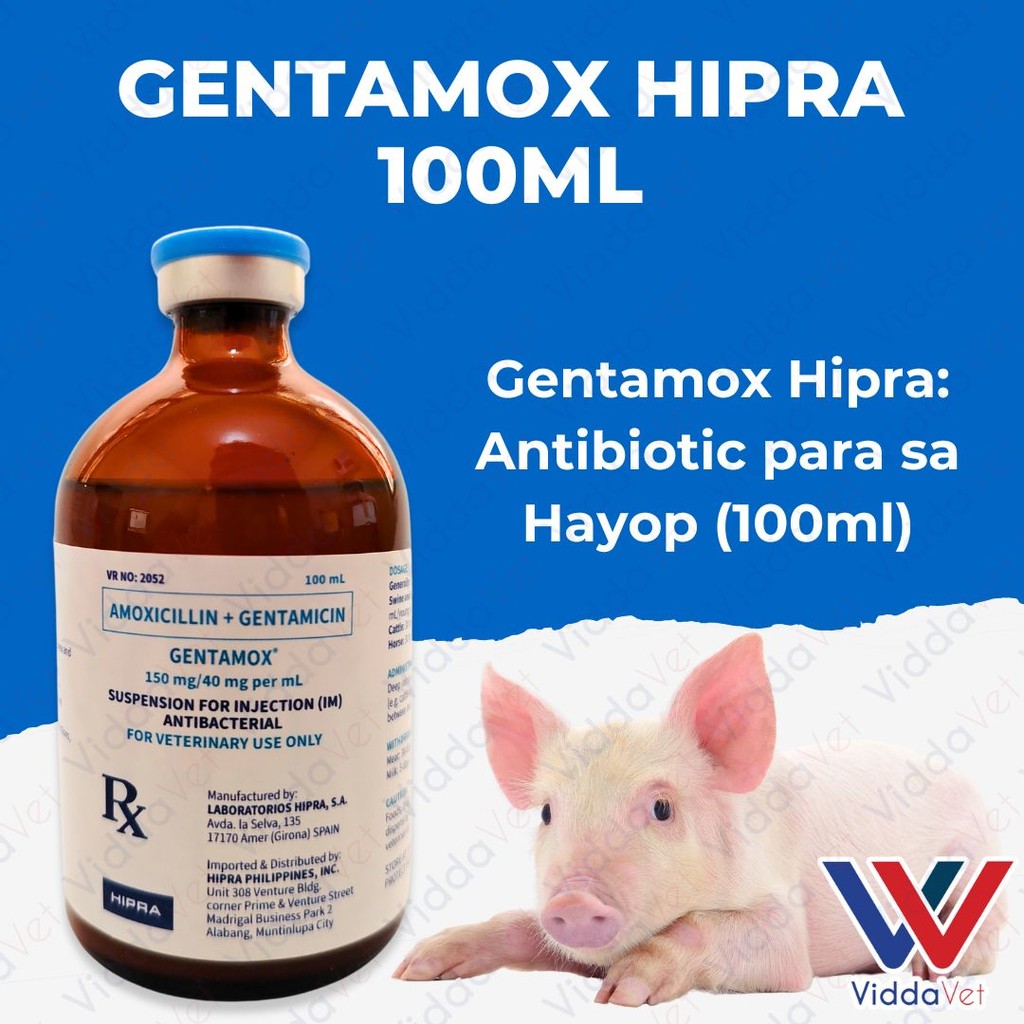 Gentamox Hipra 100ml