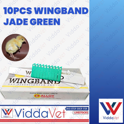 Wing Bands Green 10pcs