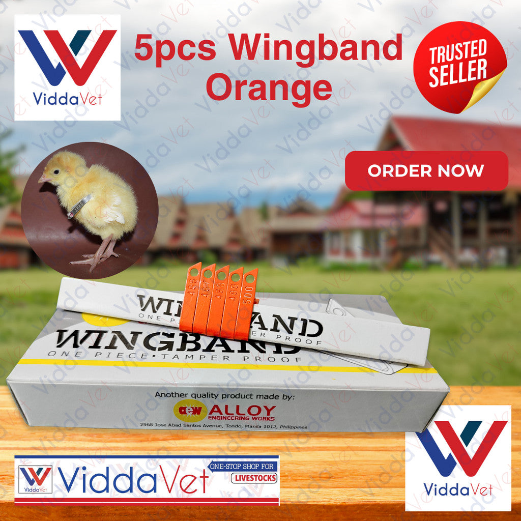 Wing Bands Orange 5pcs