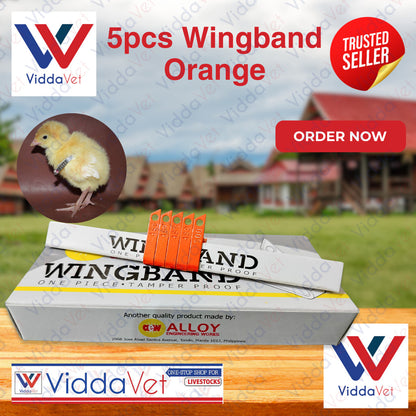 Wing Bands Orange 5pcs